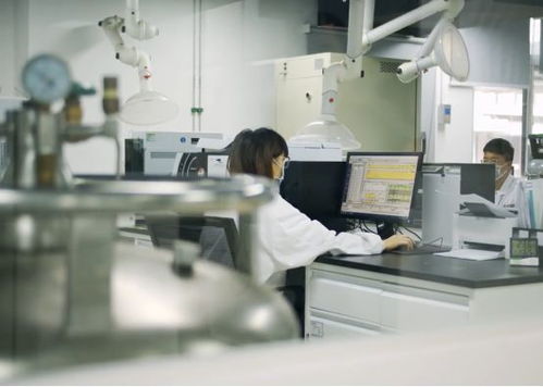 生產活力有序恢復，儀器儀表綜合服務與物聯網應用雙輪驅動助力企業提質增效